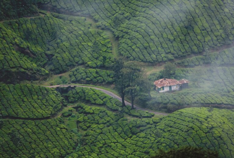 Kerala