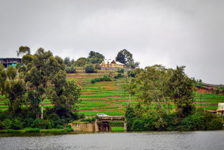 Ooty